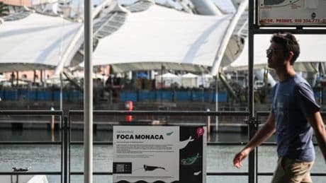 Al Festival Blue il progetto Pelagos: conoscenza e rispetto del mare