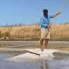 Charente-Maritime : les bienfaits de la fleur de sel, produit star de l'été sur l'île de Ré