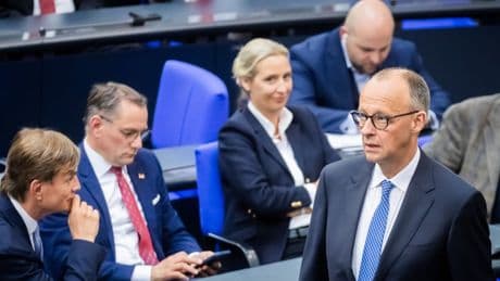 "Überkontrolle": Regierung watscht AfD für "unzumutbare" Massenanfrage ab
