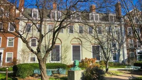 Chi è Francesca Gino, la prof italiana licenziata da Harvard che ha fatto causa per 25 milioni