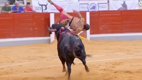 Horrific moment Portuguese matador is gored and tossed around by tormented bleeding bull weeks after fellow countryman was crushed to death by rampaging beast