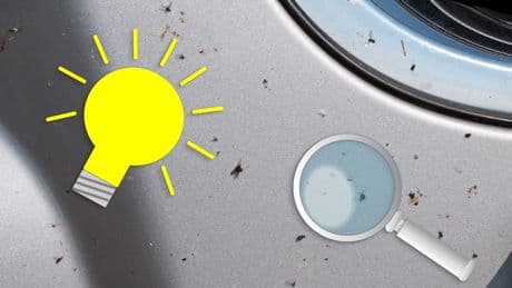 Durchblick für wenig Geld: So entfernen Sie hartnäckige Insekten vom Auto