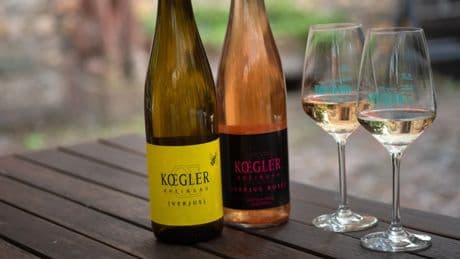 Erfolg mit Verjus: Was aus unreifen Rieslingstrauben werden kann
