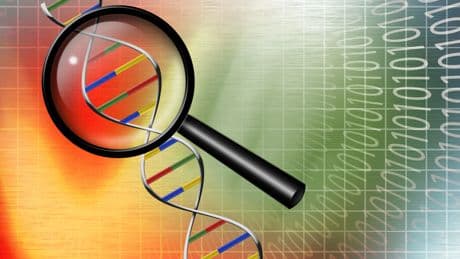 Los científicos piden detener la investigación con bacterias espejo que podrían amenazar la vida en la Tierra