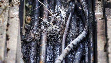 Innenminister vermutet Linksextremisten hinter Brandsätzen