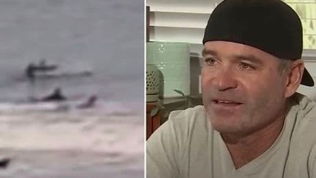Man headbutted by FLYING shark while surfing makes worrying discovery