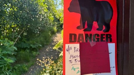 Anchorage warns hikers after 2 bear attacks in a week