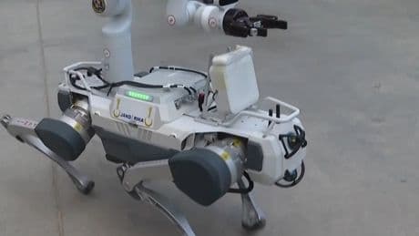 Patlayıcılara 'robot köpek'le müdahale