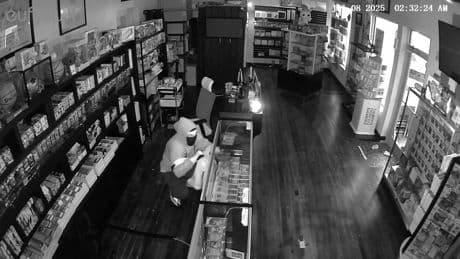 Pokémon thief catches them all as he swipes $100K worth of rare cards from Massachusetts shop during break-in