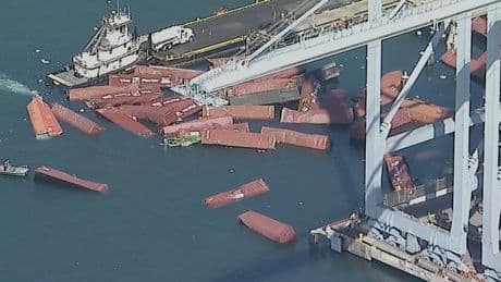 More than 60 containers litter sea after falling off ship in Long Beach port
