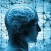Quiz. Connaissez-vous bien les secrets de votre cerveau ?