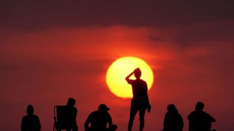 London heatwave killed 263 people – with climate change to blame for most, study says
