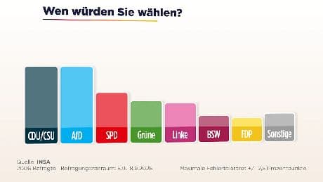 Sonntagsfrage - AfD im Plus – gleich auf mit der Union