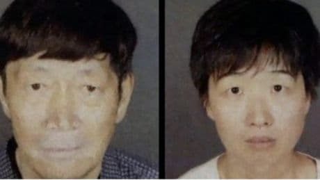 Investigan a una pareja que quería ser «una familia numerosa» y ahora tiene 19 hijos por vientres de alquiler