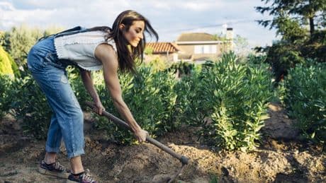 The biggest mistake you’re making in your garden