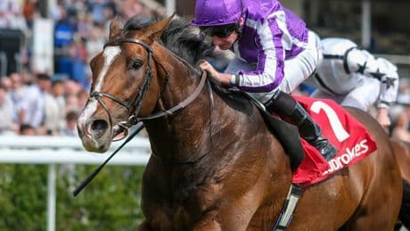 Aidan O’Brien superstar a hugely worrying drifter for Royal Ascot as stablemate is absolutely smashed in