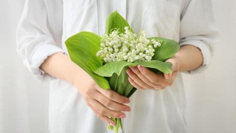 1er-Mai : pourquoi s’offre-t-on du muguet pour la fête du Travail ?