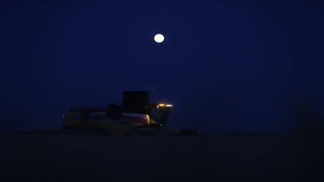 Aşırı sıcaklar yüzünden hasat gece yapılıyor! Buğday hasadında gece mesaisi