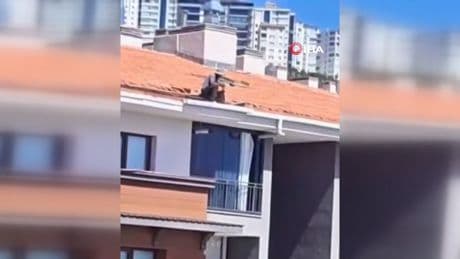 Çatıda tehlikeli çalışma: O anlar kamerada