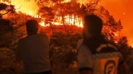 Wildfires Scar Syria Anew