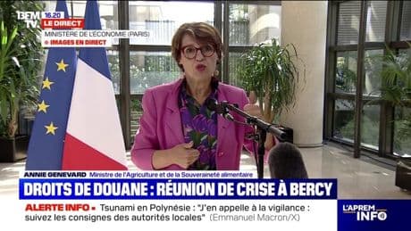 Droits de douane de 15% pour l'UE: "C'est un accord déséquilibré", indique Annie Genevard, ministre de l'Agriculture