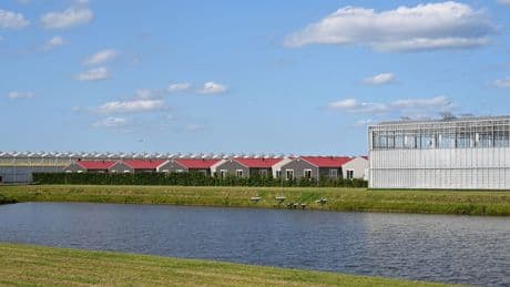 'Verhoog minimumloon en rem nachtwerk om instroom arbeidsmigranten te verminderen'