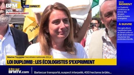 Loi Duplomb : Marine Tondelier interpelle Emmanuel Macron et réclame un référendum