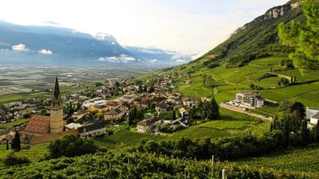 Urnengang: Wahlrückgang und Rechtsruck in Südtirol [Online-Abo]