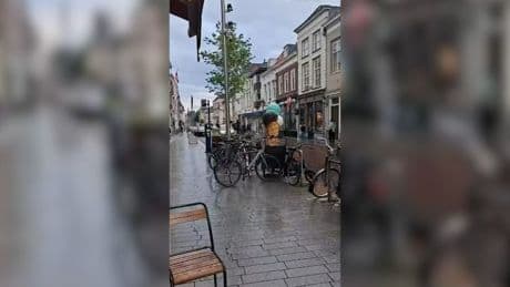 Bestuurder rijdt in op politiepaarden in centrum van Den Bosch
