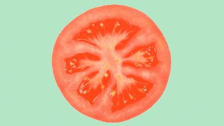 Hoe de tomaat een aardappel werd