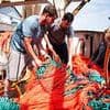 'Silent' crisis that threatens to wipe out $300 billion coastal industry