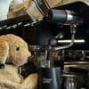 Von Australien in die Welt: Vergessener Plüschhund Jack wird Internetstar