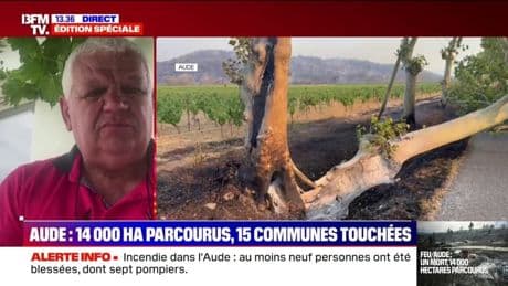Incendie dans l'Aude: "C'est une désolation comme si on était sur un champ lunaire", déplore le président de la communauté de communes Région Lézignanaise-Corbières-Minervois