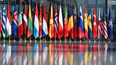 Neues Fünf-Prozent-Ziel: Nato: Rückgang bei Wachstum der Verteidigungsausgaben