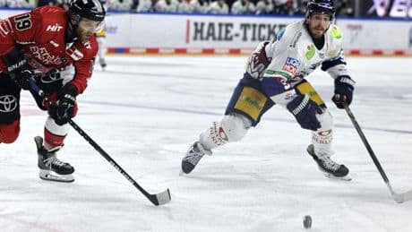 Eisbären Berlin vor elftem Titel – Kölner Haie erneut chancenlos