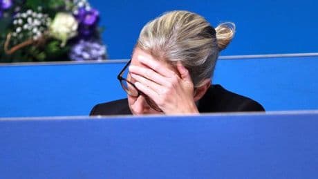 Fast die Hälfte der Deutschen ist für ein Verbot der AfD