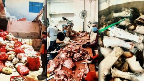 At ve eşek etinden sonra mide bulandıran bir görüntü daha!
