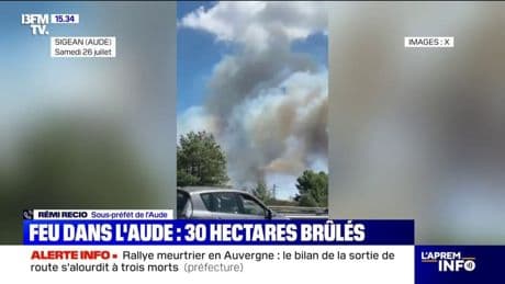 Incendie dans l'Aude: "30 hectares ont été parcourus par le feu", affirme Rémi Recio, sous-préfet de l'Aude
