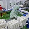 China's factory activity contracts in May, but there are signs of improvement