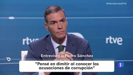 La cara de Sánchez como metáfora de España o del odio al Gobierno