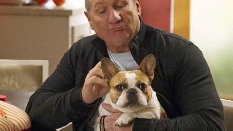 Qué fue de Ed O&#039;Neill, Jay en &#039;Modern Family&#039;: de la sitcom al tatami
