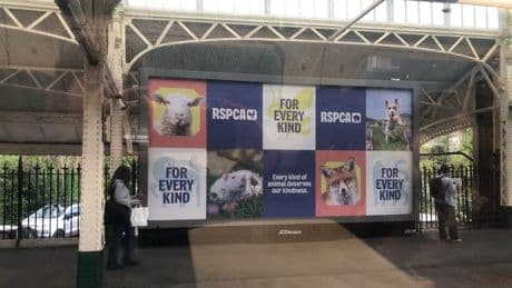 RSPCA ad campaign cleared following complaints by campaigners