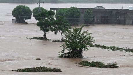 Floods and Heavy Rain Kill Dozens in Pakistan