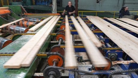 Into the woods: Trump says U.S. should rely on its own lumber