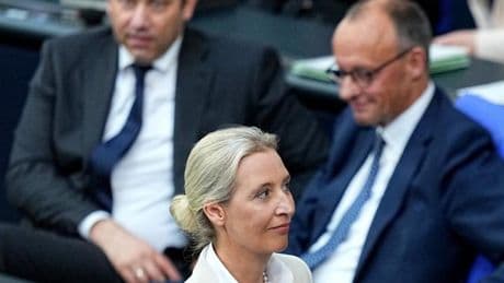 AfD und Union legen in Wählergunst zu, FDP rutscht weiter ab
