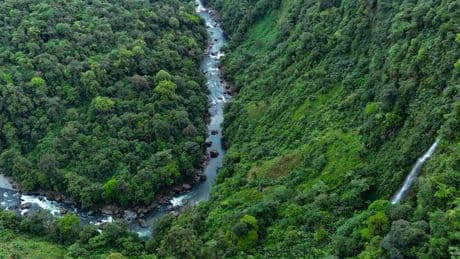 Latin America Is the Deadliest Region For Environmental Activists, Report Finds