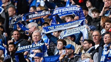 Fußball-Bundesligist: Hohe Geldstrafe für Hoffenheim