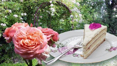 Dresden: Dieses Rosen-Café ist ein Geheimtipp