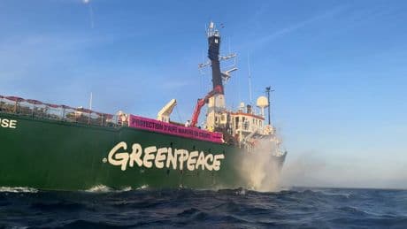 Contre le chalutage de fond, Greenpeace lâche des rochers dans une aire marine protégée dans les eaux françaises