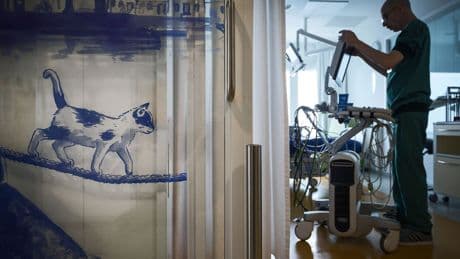MUMC+ staakte terecht behandeling van 3-jarig meisje. ‘Als geen therapie meer helpt, betekent doorbehandelen dat je alleen maar leed toevoegt’